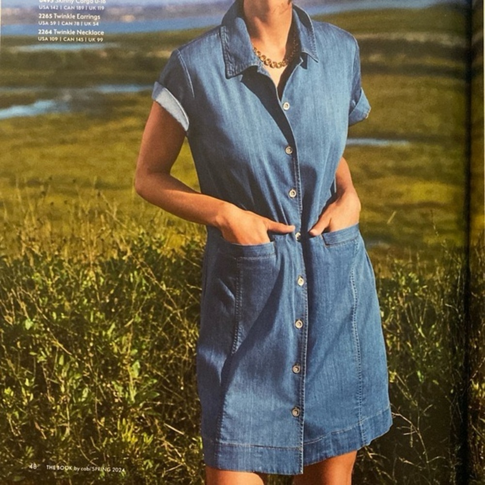 Cabi 6580 Piece of Cake Dress Soft Denim Size medium